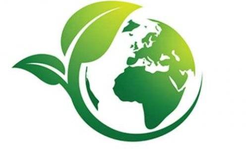 Coque iPhone écologique Coque iPhone écologique