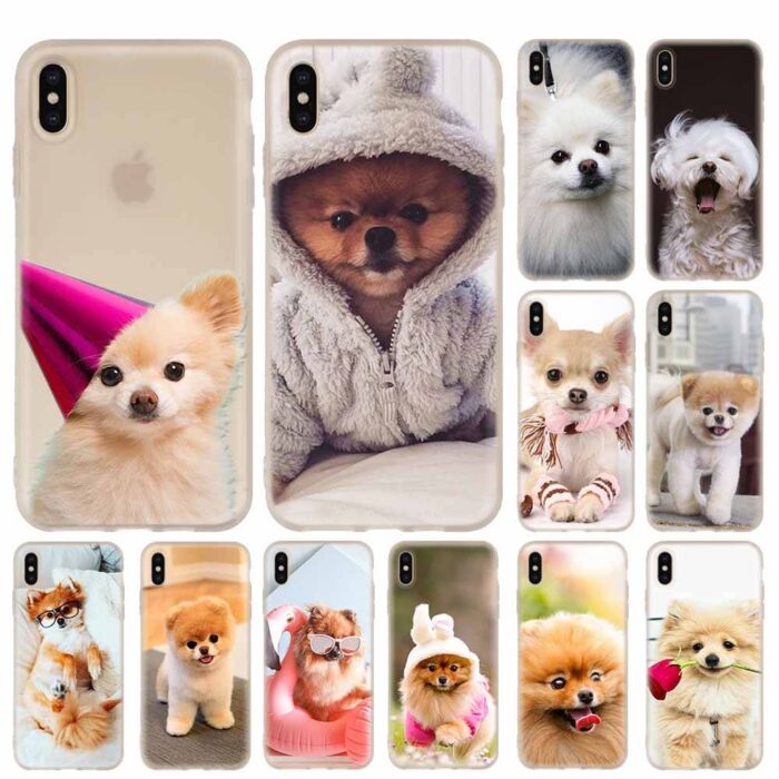 Coque iPhone Chihuahua