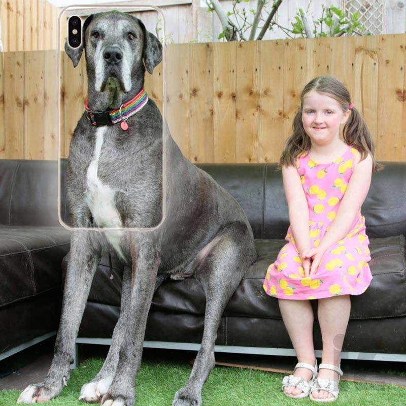 Coque photo freddy grand chien