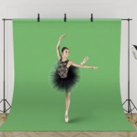 toile-de-fond-vert-pro