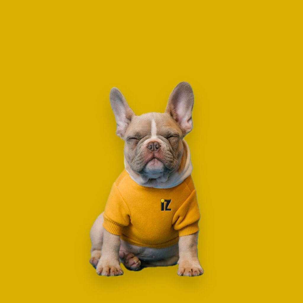 iZPhone-dog