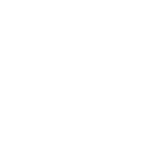 iZPhone